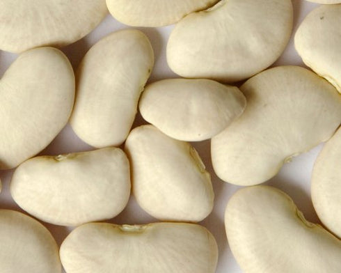 Zuersun 24 oz (2-Pack) Zursun Heirloom Dry Large Lima Beans each