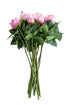 Flower Explosion 24 Stems - Fresh Cut Titanic Light Pink Rose Bouquet from