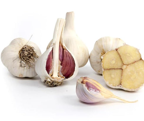 Generic 8 Hardneck Garlic Tuber for Planting - Polish Hardneck Garlic Tuber