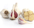Generic 8 Hardneck Garlic Tuber for Planting - Polish Hardneck Garlic Tuber