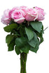 Flower Explosion 24 Stems - Fresh Cut Titanic Light Pink Rose Bouquet from
