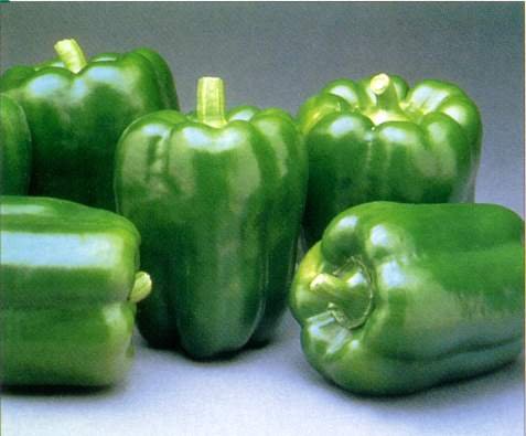 BELL PEPPERS At The Neighborhood Corner Store GREEN BELL PEPPERS FRESH FRUIT PRODUCE VEGETABLES BY THE POUND
