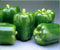 BELL PEPPERS At The Neighborhood Corner Store GREEN BELL PEPPERS FRESH FRUIT PRODUCE VEGETABLES BY THE POUND
