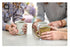 15 Count (Pack 1) Two Leaves and a Bud Organic Tropical Green Tea, Whole Leaf Sencha Green Tea