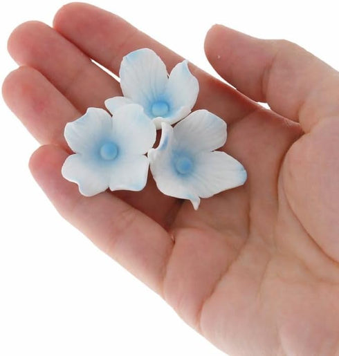 Global Sugar Art Hydrangea Blossom Sugar Cake Flowers, White with Blue -