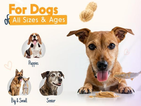 9 Pack 4oz BUDDY BUDDER Dog Peanut Butter, Mixed Flavors, Pouches Dog Peanut Butter, Made in USA