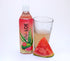 VIVALOE 16.9 oz./500 mL, 12 Count Watermelon Flavor Aloe Beverage All Natural Aloe Juice, fl.