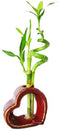 Set of 2 Live Spiral 3 Style Lucky Bamboo Plant Arrangement withHeart