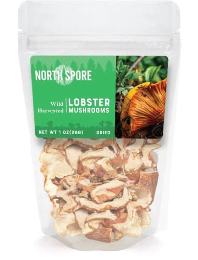 North Spore Wild Dried Lobster Mushroom 28 grams