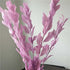 Artist Unknown Zamihalaa 5PCS/35-40CM Natural Dried Orange Leaves Preserved Lily Flowers Bouquet,Dracaena Reflexa for