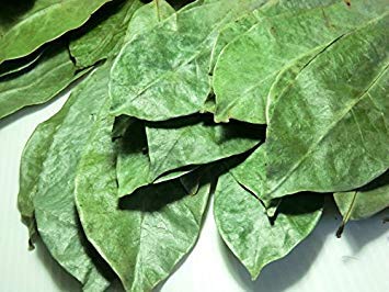 100% 1oz (28g) Natural Dried Soursop Leaves From Ceylon Sri Lanka