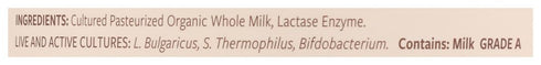 Painterland Sisters 24 , Yogurt Skyr Plain Organic, Ounce