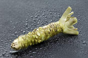 Shizuoka Wasabi Paste, Uncolored & Fragrance-Free, 100% Hon Wasabi from Shizuoka, 1.5oz (42g)