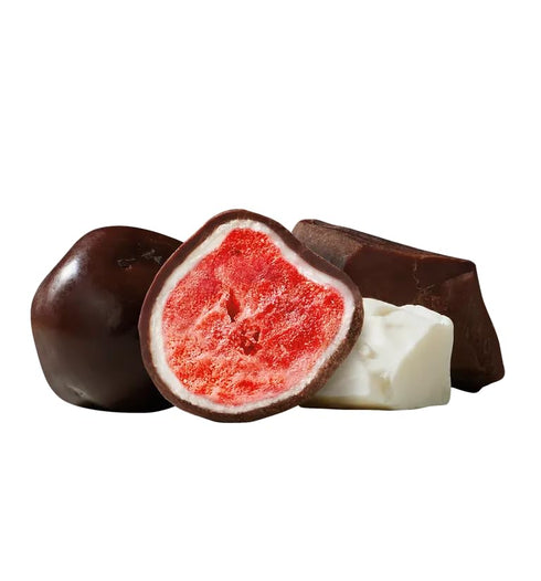 3.4 OZ Tru Fru Hyperdried Strawberry in Dark Chocolate