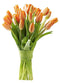 KaBloom - Bouquet of 20 Orange Tulips - Fresh Flowers for Birthday,
