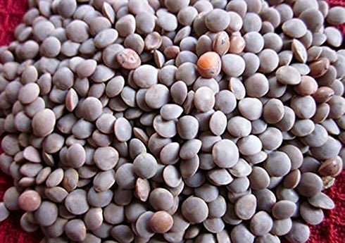 Indian Spice 2LB MASOOR WHOLE