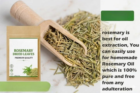 Generic 100gm Herbal Rosemary Leaves - | Dried Rosemary | Pure & Premium