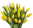 10 KaBloom Flowers -Valentine's Day Collection - Yellow Tulips without vase, Gift for Birthday, Sympathy, Anniversary