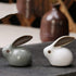 VICASKY 2Pcs Miniature Bunny Figures, Ceramic Easter Rabbit Bunny Figurines for Fairy Garden Statues, Cake Topper for