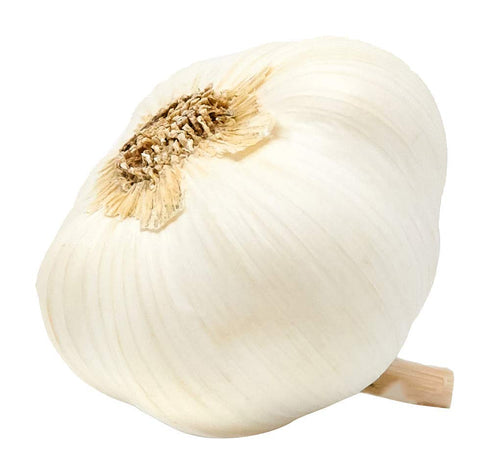 Organic Garlic - Fresh and Flavorful