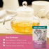 (4 oz.) Echinacea Tea Loose Leaf - Organic Echinacea Herb - Equinacea Organica - Great for Seasonal Changes - Supports