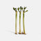 Generic Live Premium Lotus Bamboo, 12 Inch, 3 Pack
