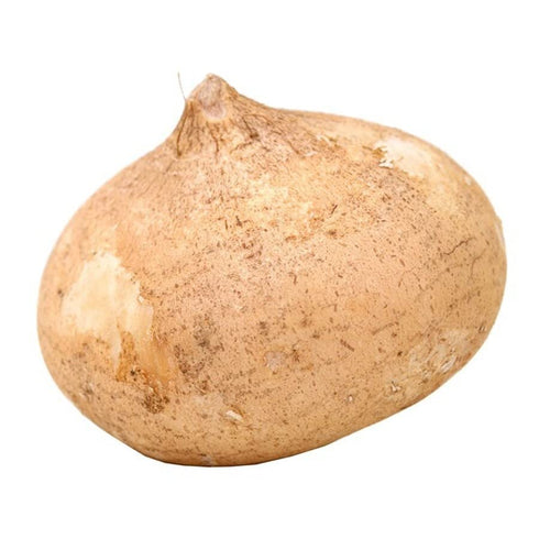 Bristol Farms , Jicama, 1 Count