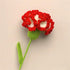 Hcclijo Hand-Knitted Carnation Bouquet for Mother's Day