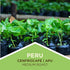3 Tiny Footprint Coffee - Fair Trade Organic Peru APU Medium Roast - Whole Bean Coffee, USDA Organic & Carbon Negative