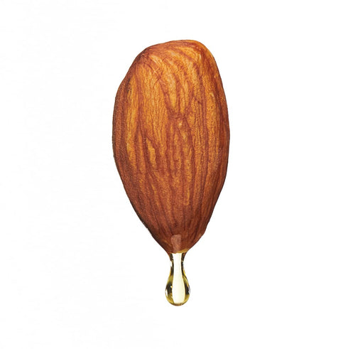 Fresh Vintage Farms Almond Oil - 100% Pure Cold Pressed California Grown, Great for Cooking, Baking, Dipping