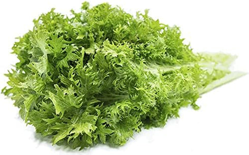 Wasabi Mustard Green Seeds (25 Count) "COOL BEANS N SPROUTS" Brand. Home