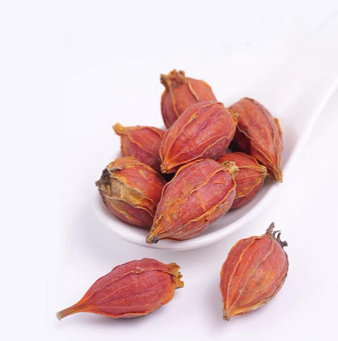 Doorpetal 8.81oz/250g Gardenia Fruit - Pure Natural Chinese Herbal Medicine- Cape Jasmine Fruit- Dried Whole Herbal