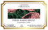 Larissa Veronica (12 572762) 3 Pack Fresh Baked Bread Guatemalan Coffee (Single Serve K-Cup Pods) (Gourmet, Naturally
