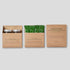 TAEGEUK SAGYE Authentic Perilla Leaf Blend - Korean Herb Seasoning