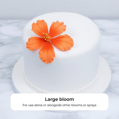 3 Count Global Sugar Art Hibiscus Sugar Cake Flowers, Orange with Deep Orange, Hawaiian Cake Flower Large by Chef Alan