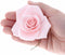 Global Sugar Art Peace Rose Sugar Cake Flowers, Pink 3 Inch Wired,