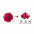 WildSap Emeralds 7.7oz (218g) 100% Freeze Dried Red Dragon Fruit Dices - Value Size Jar, Red Pitaya, No Sugar Added