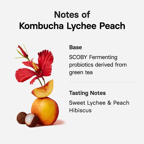 10 1.76oz OSULLOC Kombucha Tea LycheePeach (Lychee & Peach Blending), Sparkling Powdered Mix Beverage, No added sugar