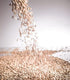 BIRCH & MEADOW Malt Vinegar Powder - Tangy & Sweet Flavor, Easy to Use