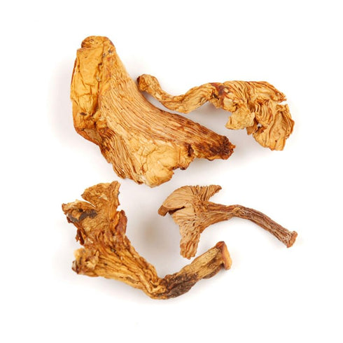 Essential Spice Dried Chanterelle Mushrooms Whole, Golden & Earthy Flavor Gourmet Quality