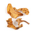 Essential Spice Dried Chanterelle Mushrooms Whole, Golden & Earthy Flavor Gourmet Quality