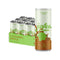 Juvee Rejuvenating Energy Drink Sugar Free Caramel Apple Flavor, 12 oz Cans