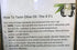 Country (16.9 oz) Texas Hill Olive Co Garlic Infused Olive Oil - Cold Pressed Gourmet EVOO Olive Oil - Great