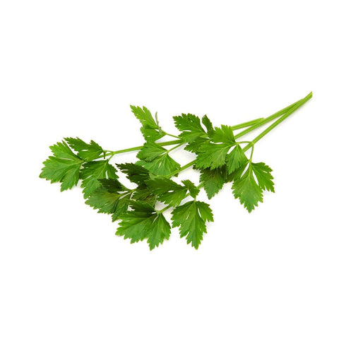 Pure and Organic Lovage Dried Leaves 50g (1.76oz) in Resealable Moisture Proof Pouch, USDA Organic Herbal Tea