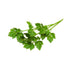 Pure and Organic Lovage Dried Leaves 50g (1.76oz) in Resealable Moisture Proof Pouch, USDA Organic Herbal Tea