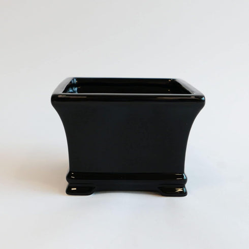 Indoor Lucky Bamboo Tower - Classic Three Layer Plant in Black Ceramic Pot