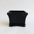 Indoor Lucky Bamboo Tower - Classic Three Layer Plant in Black Ceramic Pot