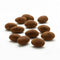 Hot Chocolate Almonds - 3 Pound (48 Ounces) - Gourmet Candy by