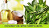 MB Herbals Curry Leaf Powder, 227 Gram | 8 oz | Promotes Hair Growth and Volume