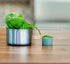 KOYAH Organic Spinach Powder - Equivalent to 30 Cups Fresh, Freeze-Dried Whole-Leaf Powder
